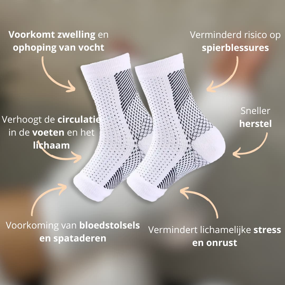 #lang-nl